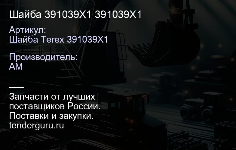 Шайба 391039X1 391039X1 | купить запчасти